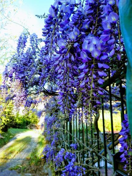 La Torretta Bed & Breakfast Torriglia Εξωτερικό φωτογραφία